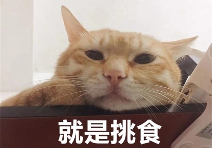 猫急性肠胃炎可以喂羊奶吗？