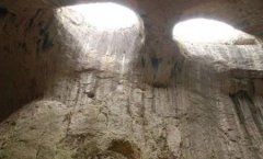 基围虾保存冰箱基围虾可以放冰箱吗？基围虾