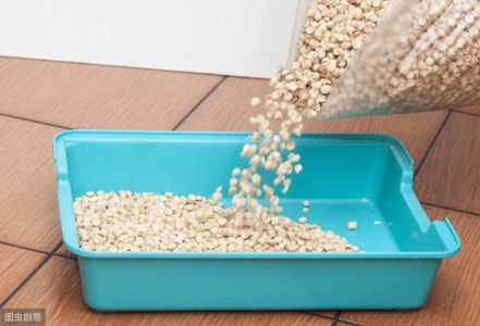 舟山眼镜蛇在舟山有吗？的简单介绍