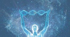 世界上有凤凰吗？可能只是古时候人刻画出一种吉祥神物