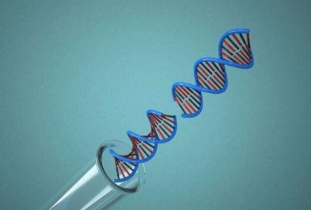 火星上存在有机分子，火星发现1厘米外星生物