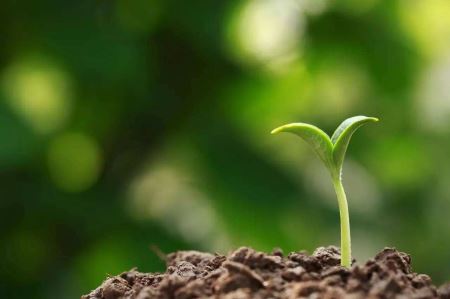 火星上存在有机分子，火星发现1厘米外星生物