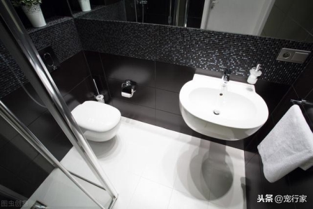 小猫翻肠是咋回事，怎么做才是对的？小猫翻肠子怎么治