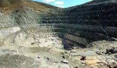 将这种野菜和鸡蛋放在一起煎着吃，味道十分