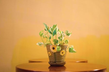 1963年封门村的灵异事件 是真实的吗?