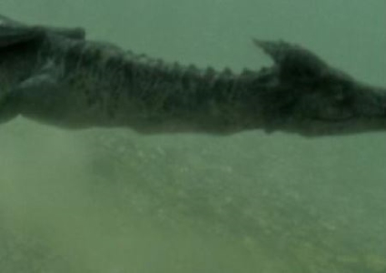 未解之谜:马文璐赵子龙妻子 赵文龙结局