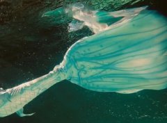 月球上的飞机月球第二次世界大战飞机骗局是