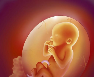 孕吐难受可以用止吐药吗?孕吐何时需要用药