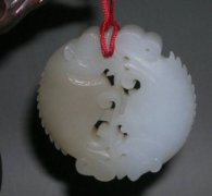 目前世界上最古老的鳄鱼鳄鱼