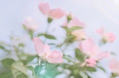 淘宝网上回收二手手机吗？淘宝的二手手机回收可靠吗？