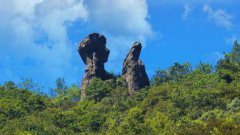 世界上最大的眼镜蛇