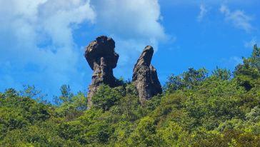 沈阳有蟒蛇吗?沈阳地区有什么蛇
