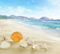 11月丽江旅游攻略：探秘古城美景，品尝特