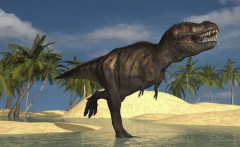 世界上最大的龙虾波士顿龙虾长1.1米重4