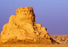 蜜獾能挡住全世界最毒的蛇吗？