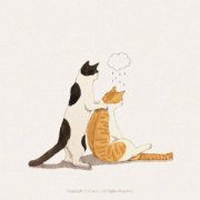 猫咪每天到底该吃多少拒绝自助餐式喂养，喂