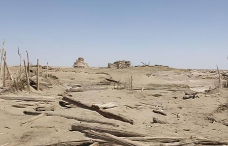 老鹰敢抓眼镜王蛇吗？