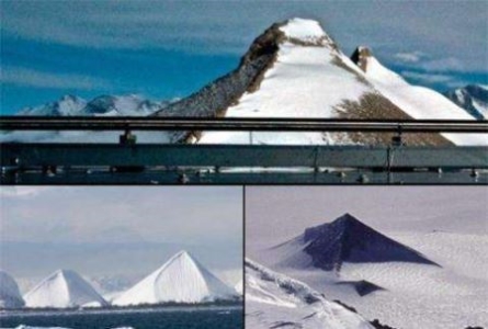 蝎子的毒液有多厉害?一头大象都不是它的对手!