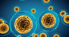 疾病知识：白血病的早期症状和前兆