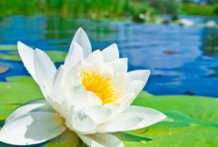 用什么方式加好友通过率高微信加好友高通过