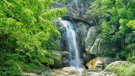 哈尔滨市31路公交车路线图线查询：起终点、站点及时刻表