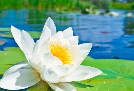 红包发错了怎么快速退回怎么样退回微信红包