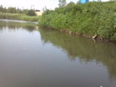 许昌好玩的地方有哪些许昌旅游景点排名前十