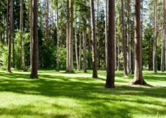 重庆白公馆渣滓洞旅游攻略