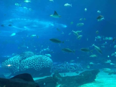 重庆白公馆渣滓洞旅游攻略