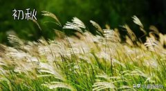 536路公交车线路查询