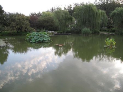 坝上草原自驾游旅游攻略2天，丰宁坝上草原两日游自驾