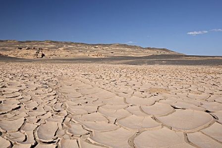 蜜獾好勇猛与庞大的蟒蛇不惜第一次世界大战
