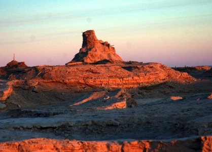 蜜獾好勇猛与庞大的蟒蛇不惜第一次世界大战