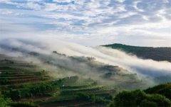 宁夏特色旅游景点画从视觉角度解读魅力