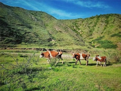 宁夏特色旅游景点怎么画从视觉角度解读魅力