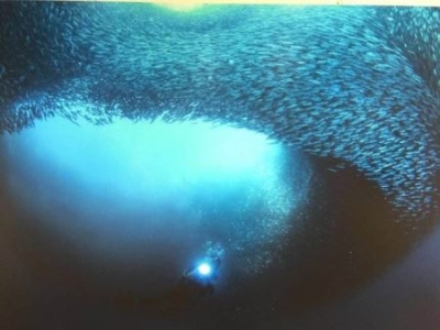 一年级语文课本出现的景点去过吗？