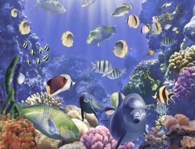 金堂旅游景点有哪些景点？好玩