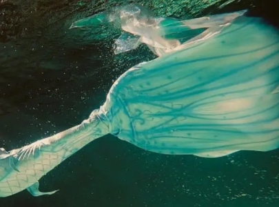 地球上美人鱼真的存在吗？声呐真的能杀死美人鱼