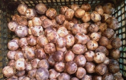 牛肉炒青椒芹菜的做法