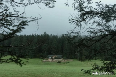 未解之谜：尼斯湖有没有水怪是什么动物？尼斯湖有没有水怪是什么动物？的传说