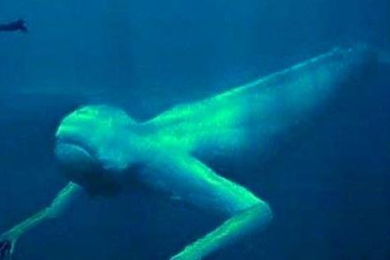 未解之谜：封门村赵东秋