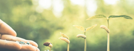 趣知识：烤箱与微波炉有什么分别盒装牛奶能用微波炉加热吗？