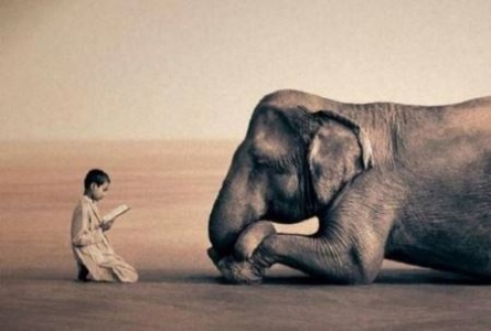 未解之谜:人体辉光骗局 人体辉光骗局