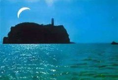 未解之谜：世界上最凶猛的鹰世界上最凶猛的