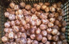 藏红花蒸鸡蛋有哪些功效养血调经美容养颜辅