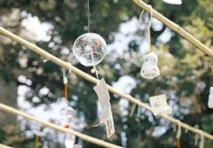 美人鱼：从银幕幻影到现实谜题的千年追寻