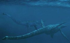 长白山天池水怪是什么动物抓住了竟是长达数十