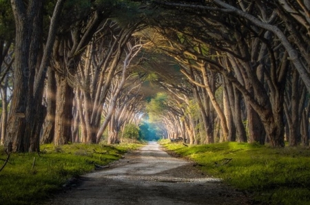 校园灵异事件 红色高跟鞋