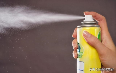 狗狗吃了洋葱怎么处理??狗吃了洋葱该怎么办?