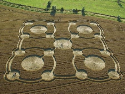 现实中真有彼岸花吗？古墓中真的存在这种植物吗？